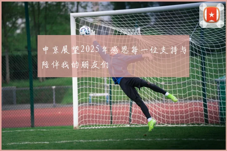 申京展望2025年感恩每一位支持与陪伴我的朋友们